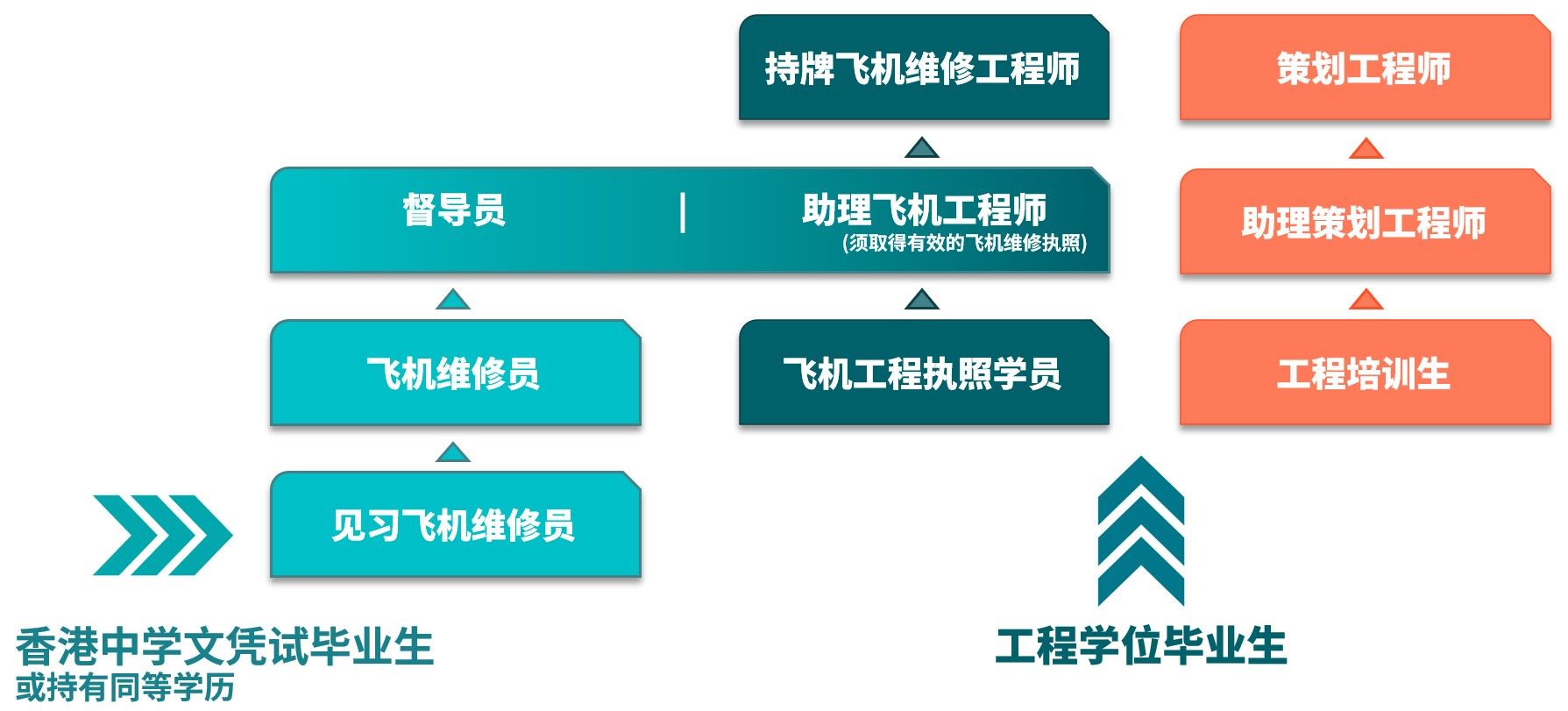 Graduate Career Path (Sim Chin).jpg