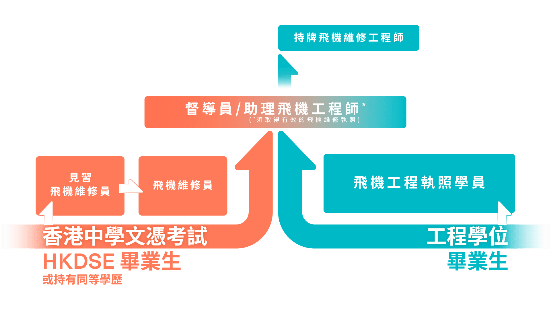 Haeco_WebGraphics_Final_CareerPath_CHIN.png