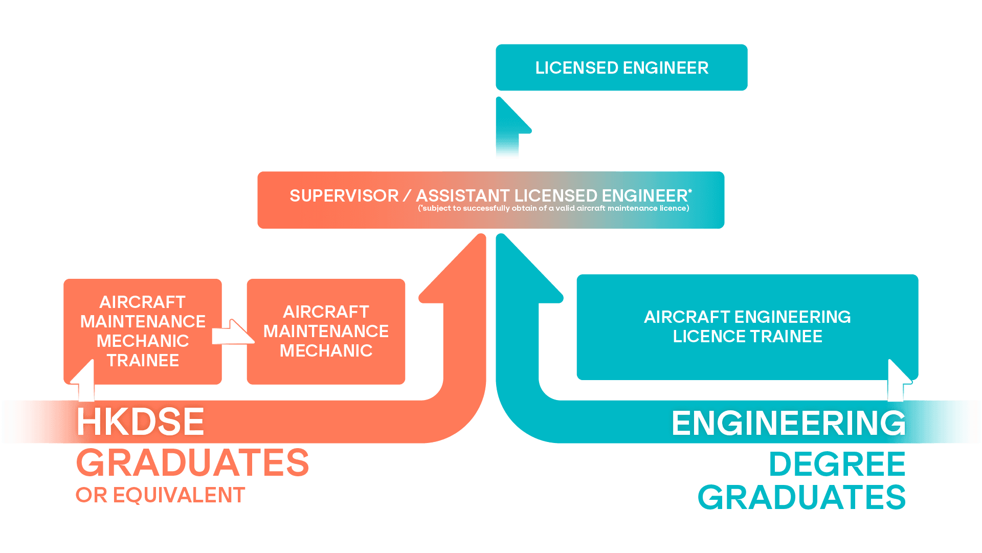 Haeco_WebGraphics_Final_CareerPath_ENG.png